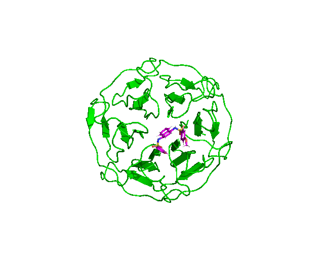 /chaperong-online-tutorials/Tutorial-3_KEAP1kelchDomain-ligand-complex_in_water.gif