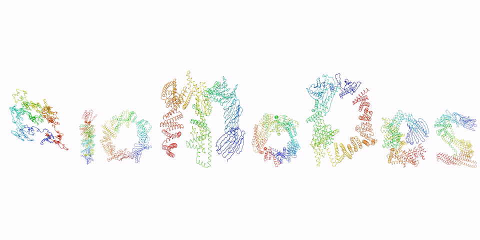 /resources/BioMoDes_set_icon-480y-10fps.gif